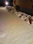 20080120210130.jpg