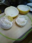 20080221202935.jpg
